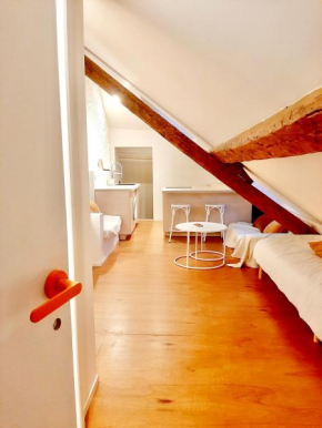 Charmant studio rue piétonne